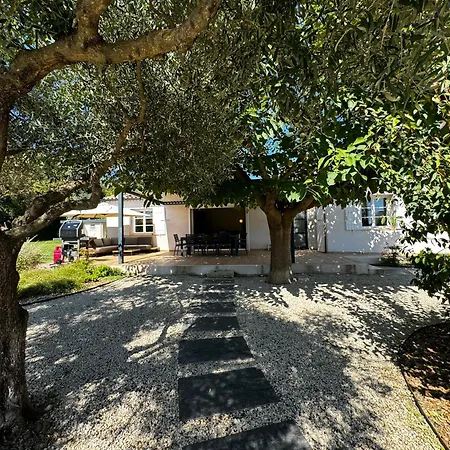 Βίλα Rochevida - Piscine - Pres D'avignon Et Du Pont Du Gard *